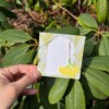 Micro gehaakte ginkgo blad oorbellen