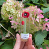 Micro gehaakte Klaproos Bloemenbroches