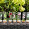 Micro gehaakte Klaproos Bloemenbroches