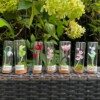 Micro gehaakte Klaproos Bloemenbroches