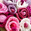 Roze Bloemen