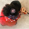 Vivy [haarelastiek bloem van wol]
