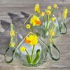 Waxinelicht narcissen