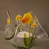 Waxinelicht narcissen
