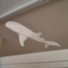 Whaleshark window art - White