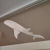 Whaleshark window art - White