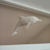 White dolphin window art