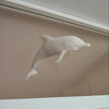 White dolphin window art