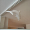 White dolphin window art