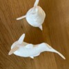 Witte Koi vis magnetische