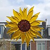 Zonnebloem raamhanger van glas