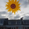 Zonnebloem raamhanger van glas