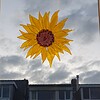 Zonnebloem raamhanger van glas