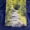 Ansichtkaart Pad door het Bos — set van 5