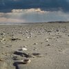 Ansichtkaart verlaten strand — set van 5