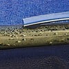 Fotopen Strand