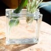 Glazen Blok Vaas – Moderne Decoratie – Strakke Design Vaas voor Bloemen – Minimalistische Bloemenvase – cadeau idee