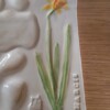 Handgemaakt keramiek schilderspalet met Narcis 1(19 x 13 cm)