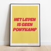 Print - Ponykamp