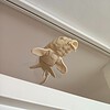 Beige Koi fish window art