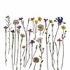 Dried Flowers botanische poster A4/A5 – kleurrijke droogbloemen (geel, paars, blauw) | wanddecoratie