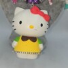 Feestje met Hello Kitty, voor de echte fan!