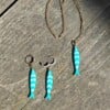 Fish ketting en oorbellen set