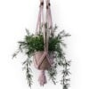 Macramé plantenhanger •Yara• incl. bloempot