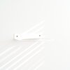 STERKSTAEL Ball Blanc ø 20cm - industriële balhouder muur - wandbevestiging - kleur wit - poedercoating - staalbalhouder, bal houder, bal aan de muur, muurbeugel bal, balring, ring houder, balkenrek, ballen rek, balrek, bal rek