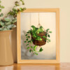 Succulent plant dragon, art print, 21x14,8 cm (8,2x5,8 inch)