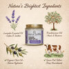 Tallow Essential Body Butter - Lavender & Frankincense 100 ml