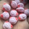 Biggetjes snoep oorbellen