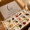 Botanical Discovery box