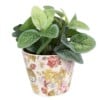 Clayre & Eef bloempot keramiek beige met bloemen Ø12 cm