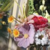 Gehaakt Boeket met Pioenroos – Handgemaakt Kunstbloemenboeket