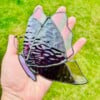 Glas-in-lood vlinder | Handgemaakt | Tiffany-techniek | Raamhanger | Suncatcher