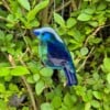 Glasfusing vogel hanger – handgemaakte glazen suncatcher voor raam of tuin – 11 x 6 cm