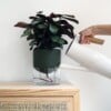 Kapi growing set: Small + Big flowerpot | Green
