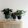 Kapi growing set: Small + Big flowerpot | Green
