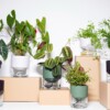 Kapi growing set: Small + Big flowerpot | Green