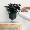 Kapi growing set: Small + Big flowerpot | Green