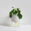 Kapi growing set: Small + Big flowerpot | Pebble