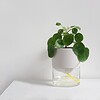 Kapi growing set: Small + Big flowerpot | Pebble