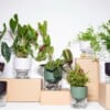 Kapi growing set: Small + Big flowerpot | Pebble