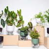 Kapi growing set: Small + Big flowerpot | Pebble