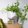 Kapi growing set: Small + Big flowerpot | Pebble