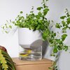 Kapi growing set: Small + Big flowerpot | Pebble