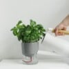 Kapi growing set: Small + Big flowerpot | Sleek gray