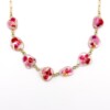 Ketting met Stenen Gevuld met Echte Bloemen uit Den Haag (GirlMeetsDenHaag x CH Design)