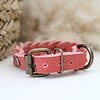 Koraal Vetleer Halsband | Robuuste vlecht | Maat XS 23-27 cm